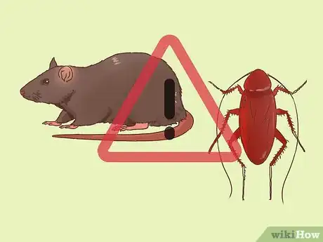 Step 2 Watch out for pests.