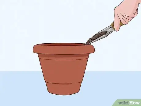 Step 1 Fill your container, pot, etc.
