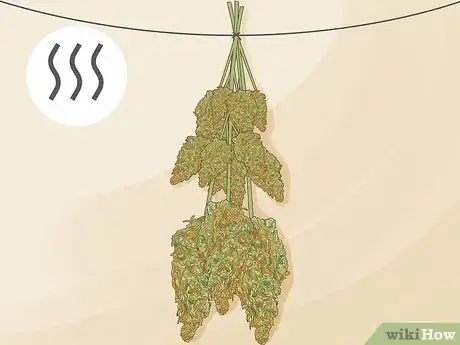 Step 1 Hang your buds upside down from string or wire.
