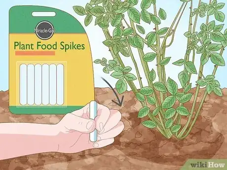 Step 5 Insert plant food spikes in potted plants for an effortless feeding option.