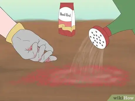 Step 4 Mix in a good dose of blood meal for a quick-release fertilizer.