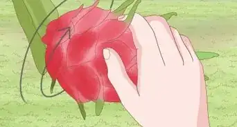 Tell if a Dragon Fruit Is Ripe