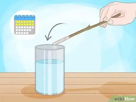 Step 2 Place the cutting into a bottle of water for up to 2 weeks.