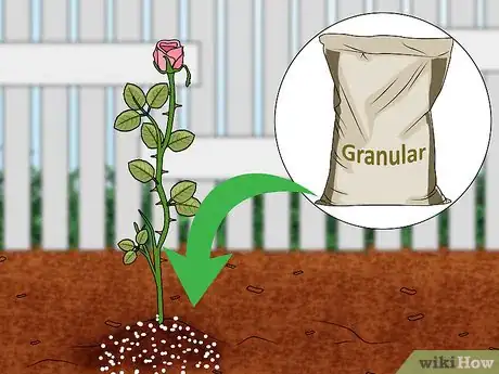 Step 3 Amend the soil with fertilizer.