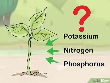 Step 1 Determine your ideal fertilizer ratio.