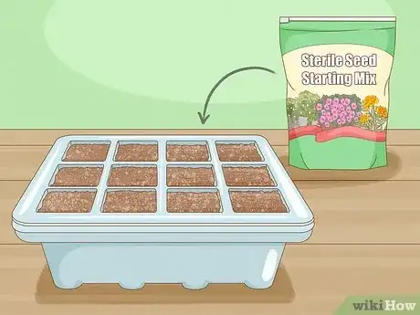 Step 1 Fill a container with sterile seed starting mix.