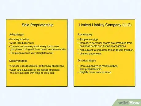 Step 5 Establish yourself as a Sole Proprietorship or a Limited Liability Company (LLC).