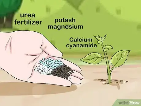 Step 3 Mix urea with certain fertilizers to fertilize plants immediately.