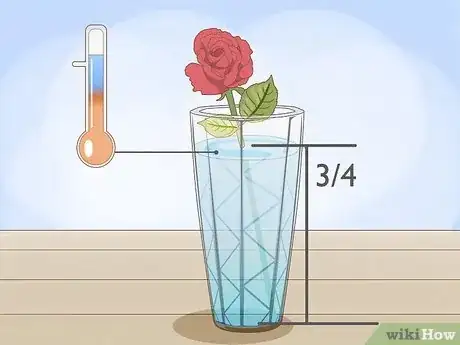 Step 4 Set the rose stems inside a vase filled 3/4 of the way with water.