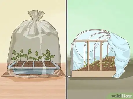 Step 1 Construct a healing chamber for your plants.