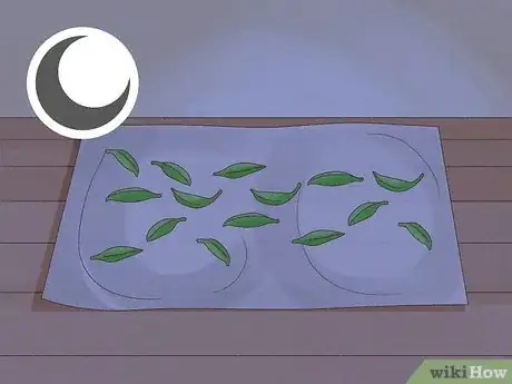 Step 2 Lay your leaves out on paper towels to dry overnight.