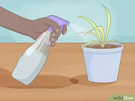 Step 4 Keep the soil moist until you see new growth.