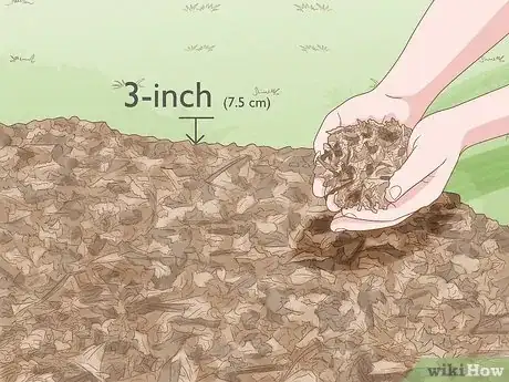 Mulch over areas prone to dandelions to prevent growth.
