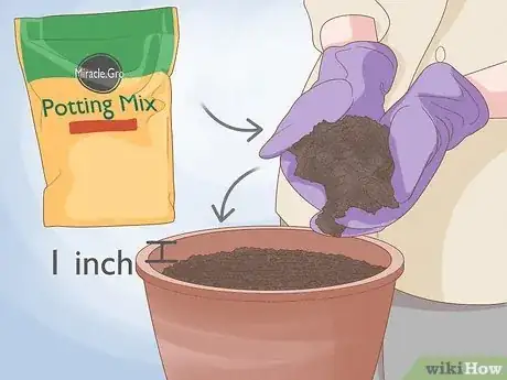 Step 1 Fill up your pot with Miracle-Gro potting mix for growing potted plants.