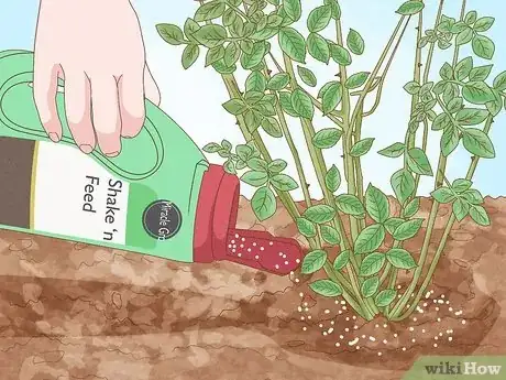 Step 3 Spread Shake ‘n Feed food over your plants to feed them without water.