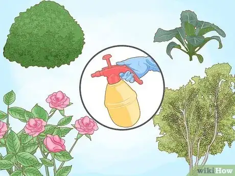 Step 2 Spray your outdoor plants with a garden sprayer to easily feed them.