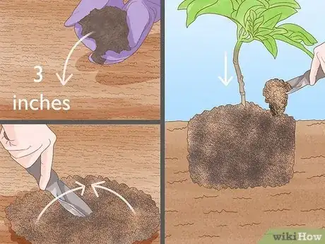 Step 2 Plant your in-ground, outdoor plants using Miracle-Gro garden soil.