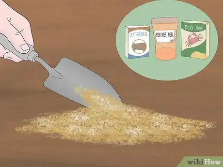 Step 6 Use crab meal, feather meal, or leather meal for slow-release fertilizers.