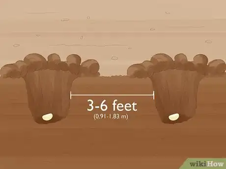 Step 4 Plant the seeds 3 to 6 feet (0.91 to 1.83 m) apart if you’re planting outside.