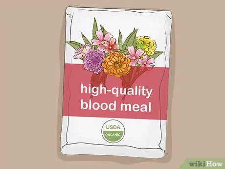 Step 4 Buy high-quality blood meal.